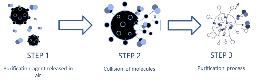 Principle of Sterlization